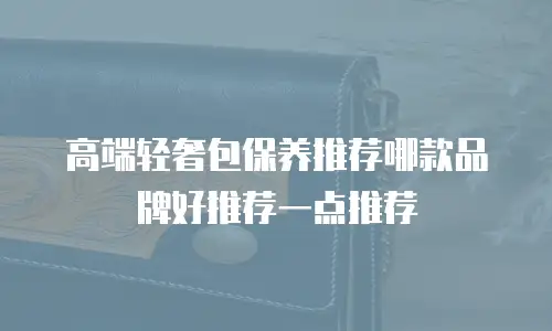 高端轻奢包保养推荐哪款品牌好推荐一点推荐