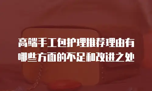 高端手工包护理推荐理由有哪些方面的不足和改进之处