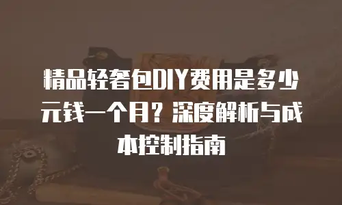 精品轻奢包DIY费用是多少元钱一个月？深度解析与成本控制指南