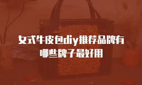 女式牛皮包diy推荐品牌有哪些牌子最好用