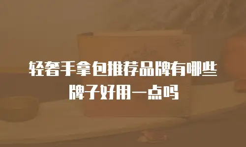 轻奢手拿包推荐品牌有哪些牌子好用一点吗
