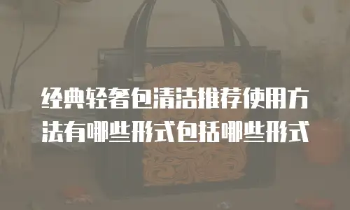 经典轻奢包清洁推荐使用方法有哪些形式包括哪些形式