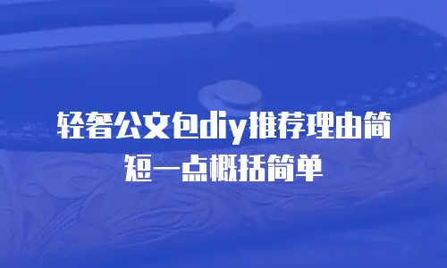 轻奢公文包diy推荐理由简短一点概括简单