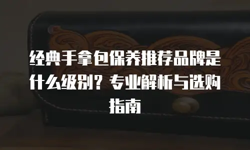 经典手拿包保养推荐品牌是什么级别？专业解析与选购指南