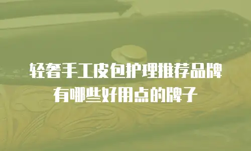 轻奢手工皮包护理推荐品牌有哪些好用点的牌子