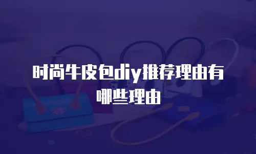 时尚牛皮包diy推荐理由有哪些理由