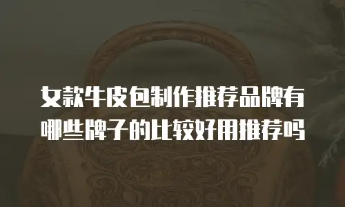 女款牛皮包制作推荐品牌有哪些牌子的比较好用推荐吗