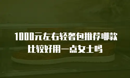 1000元左右轻奢包推荐哪款比较好用一点女士吗