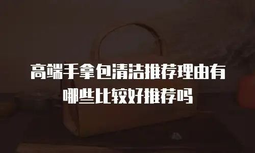 高端手拿包清洁推荐理由有哪些比较好推荐吗