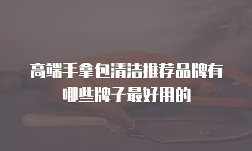 高端手拿包清洁推荐品牌有哪些牌子最好用的