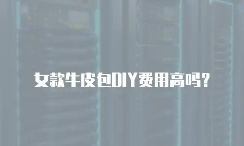女款牛皮包DIY费用高吗？