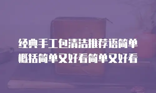 经典手工包清洁推荐语简单概括简单又好看简单又好看