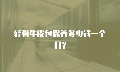 轻奢牛皮包保养多少钱一个月？