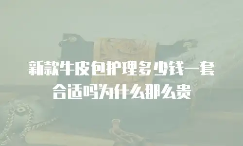 新款牛皮包护理多少钱一套合适吗为什么那么贵