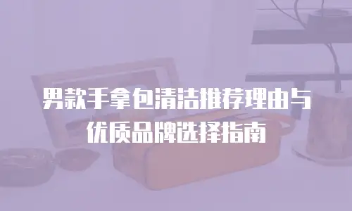 男款手拿包清洁推荐理由与优质品牌选择指南