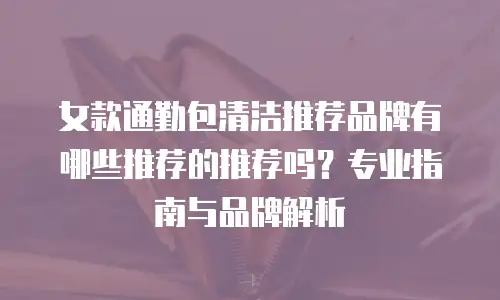 女款通勤包清洁推荐品牌有哪些推荐的推荐吗？专业指南与品牌解析
