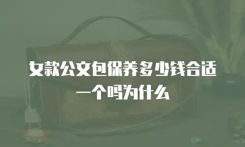 女款公文包保养多少钱合适一个吗为什么