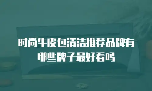 时尚牛皮包清洁推荐品牌有哪些牌子最好看吗