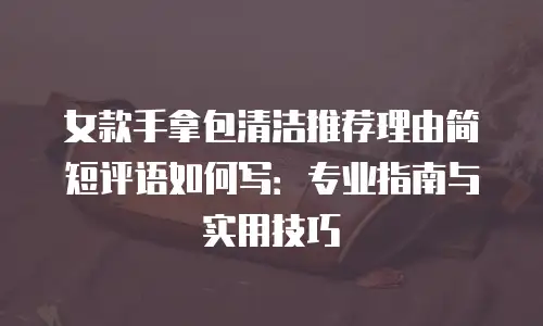 女款手拿包清洁推荐理由简短评语如何写：专业指南与实用技巧