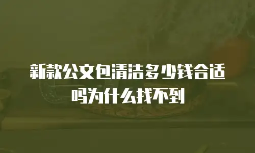 新款公文包清洁多少钱合适吗为什么找不到