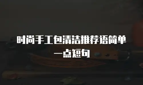 时尚手工包清洁推荐语简单一点短句