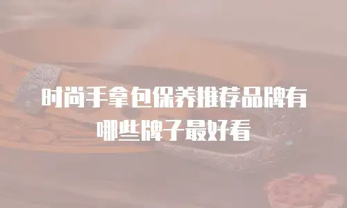 时尚手拿包保养推荐品牌有哪些牌子最好看