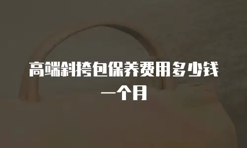 高端斜挎包保养费用多少钱一个月