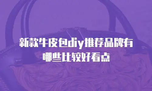 新款牛皮包diy推荐品牌有哪些比较好看点
