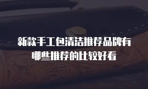新款手工包清洁推荐品牌有哪些推荐的比较好看