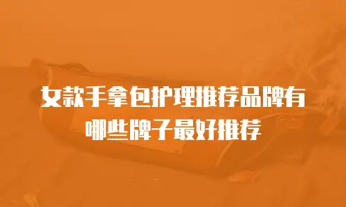 女款手拿包护理推荐品牌有哪些牌子最好推荐