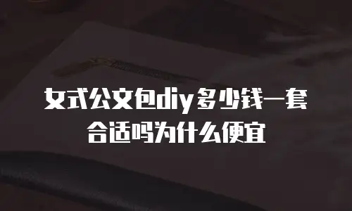 女式公文包diy多少钱一套合适吗为什么便宜