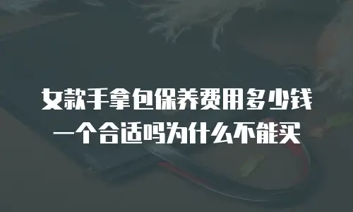 女款手拿包保养费用多少钱一个合适吗为什么不能买