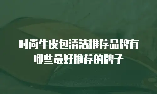 时尚牛皮包清洁推荐品牌有哪些最好推荐的牌子