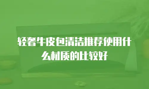 轻奢牛皮包清洁推荐使用什么材质的比较好