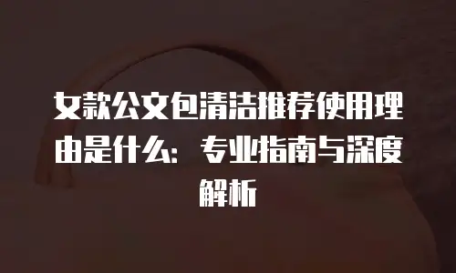 女款公文包清洁推荐使用理由是什么：专业指南与深度解析