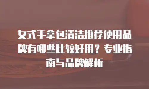 女式手拿包清洁推荐使用品牌有哪些比较好用？专业指南与品牌解析