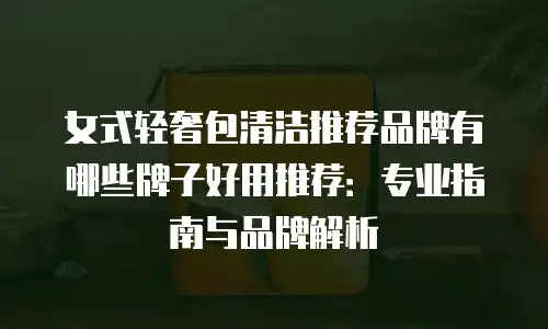 女式轻奢包清洁推荐品牌有哪些牌子好用推荐：专业指南与品牌解析