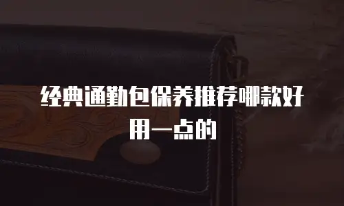 经典通勤包保养推荐哪款好用一点的