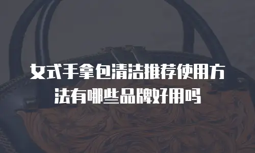 女式手拿包清洁推荐使用方法有哪些品牌好用吗