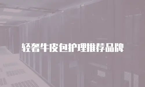 轻奢牛皮包护理推荐品牌