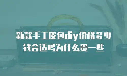 新款手工皮包diy价格多少钱合适吗为什么贵一些