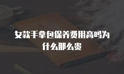 女款手拿包保养费用高吗为什么那么贵