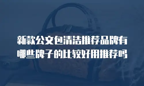 新款公文包清洁推荐品牌有哪些牌子的比较好用推荐吗