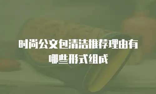 时尚公文包清洁推荐理由有哪些形式组成