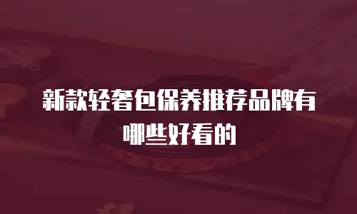 新款轻奢包保养推荐品牌有哪些好看的