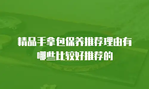精品手拿包保养推荐理由有哪些比较好推荐的