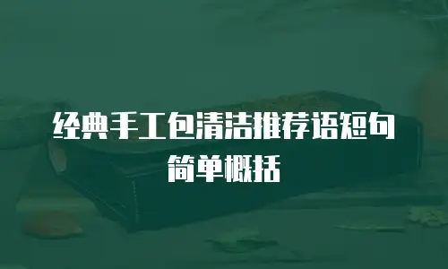 经典手工包清洁推荐语短句简单概括