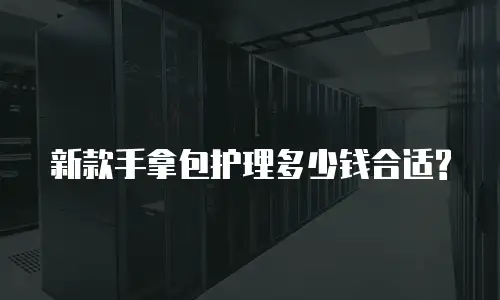新款手拿包护理多少钱合适?