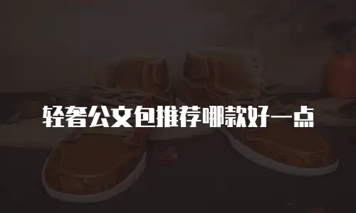 轻奢公文包推荐哪款好一点