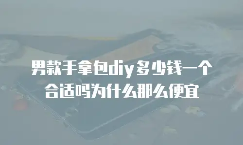 男款手拿包diy多少钱一个合适吗为什么那么便宜
